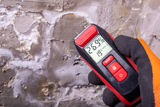 Best Affordable Mold Removal  in Dry Ridge, KY