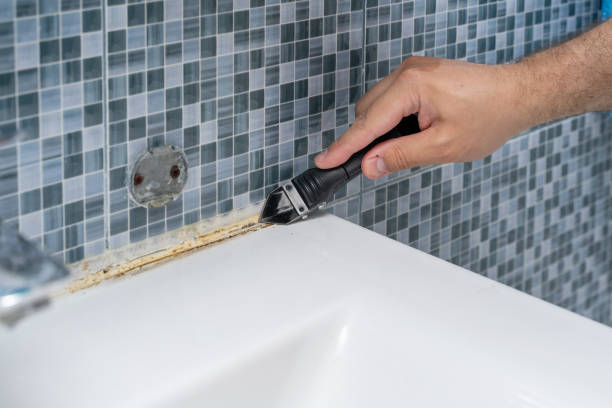 Best Mold Cleaning Services  in Dry Ridge, KY