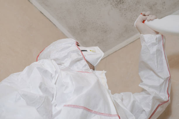 Office Mold Removal Services in Dry Ridge, KY