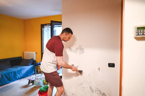 Best Same-Day Mold Removal  in Dry Ridge, KY