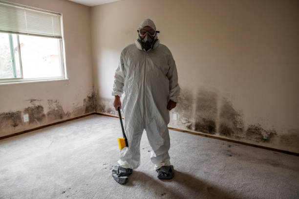 Best Mold Cleaning Services  in Dry Ridge, KY